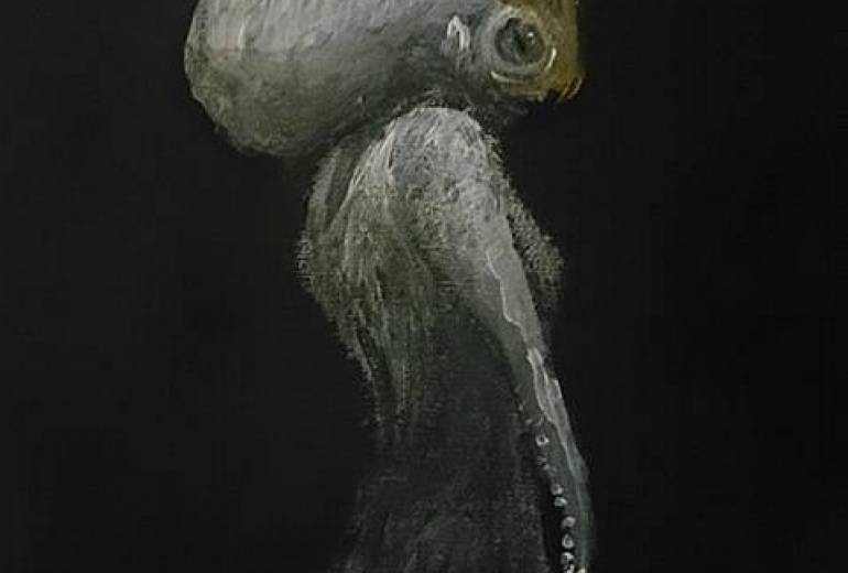 タコお姫様王冠デザインアート写実的漫画作品