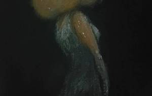 多恋（タコ）お姫様 - 真鍋哲地 