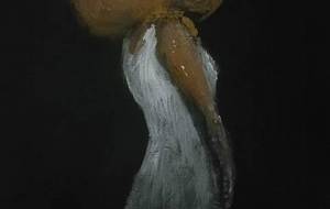 多孤お姫様（タコ） - 真鍋哲地 