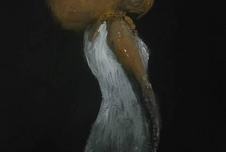 多孤お姫様（タコ）