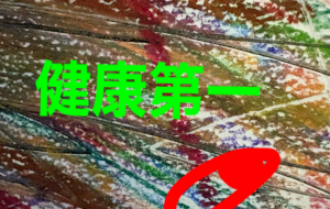 アール・ブリュット挑戦 - 笹谷正博