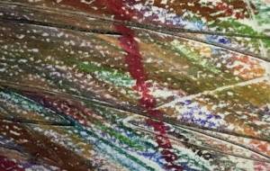 アール・ブリュット挑戦 - 笹谷正博