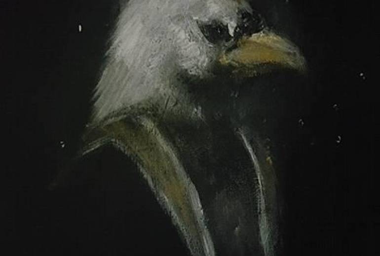 鳥（最近思う、自信とかを、思う）