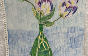 トルコききょう - MITIKO 