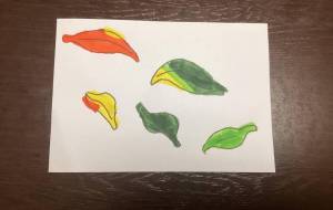 クラブ　移り変わる葉 - 【イベント】Challenged Artist Project【2025】 