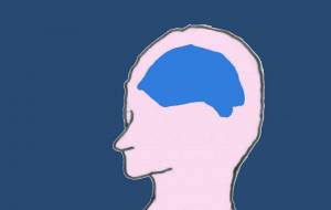 スペード　Brain - 【イベント】Challenged Artist Project【2025】 