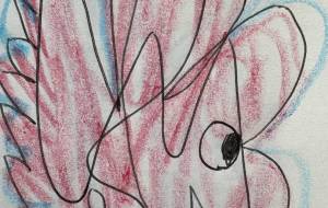 アール・ブリュット挑戦 - 笹谷正博 