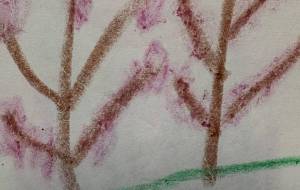 アール・ブリュット挑戦 - 笹谷正博 