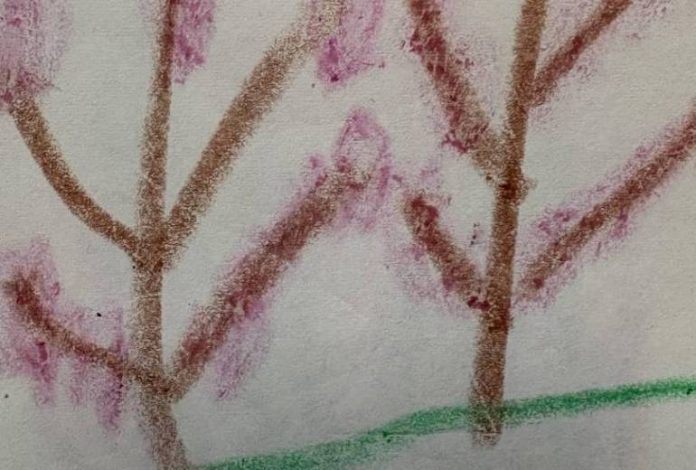 アール・ブリュット挑戦