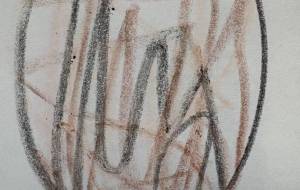 アール・ブリュット挑戦 - 笹谷正博