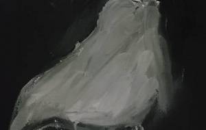 我が名は精神病神話神々、御御光　（ゴーゴン） - 真鍋哲地 