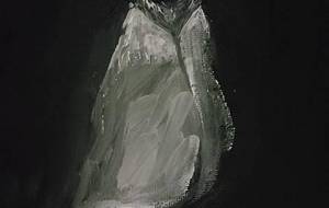 針山１つ目 後鵜豪 - 真鍋哲地 