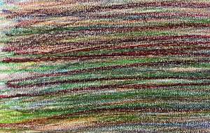 アール・ブリュット挑戦 - 笹谷正博 