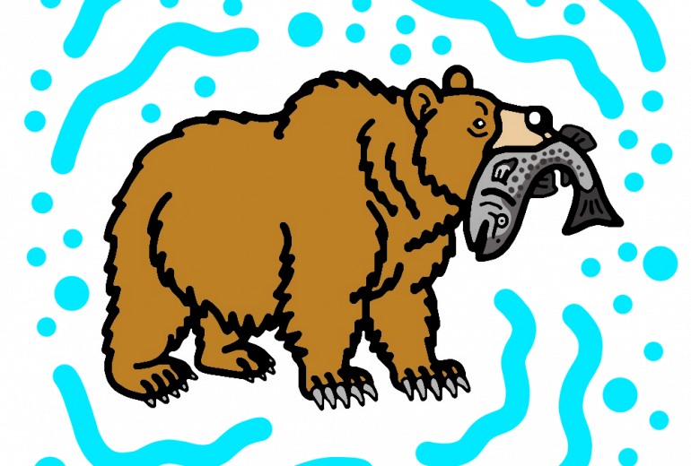 クラブ　コディアックヒグマとマスノスケ