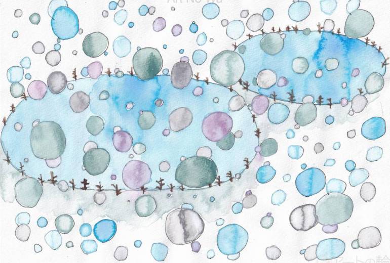 スペード　きりり冬