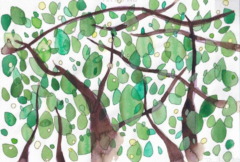 ダイヤ　生い茂る緑