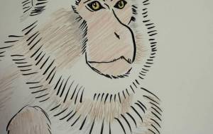 日本猿 - 月見屋ちえり 