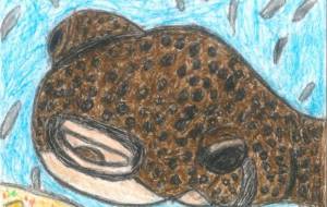 うみからきたふくろう - 喜納江利子 