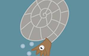 アンモナイト - アクター