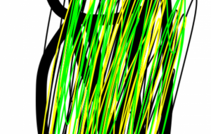 アール・ブリュット挑戦 - 笹谷正博 