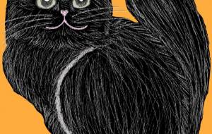 黒猫ノアル - ちろ 