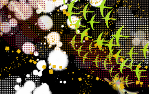 クラブ 鶴の舞 - 【イベント】Challenged Artist Project【2025】