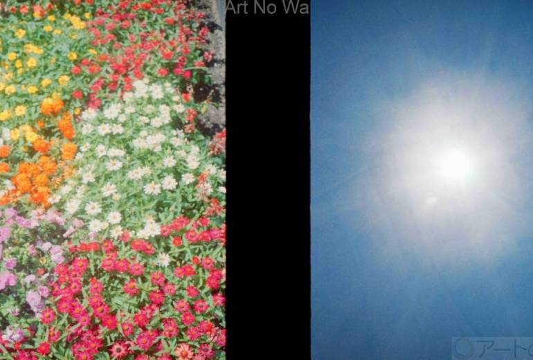 ふたつの光、ふたりの記憶