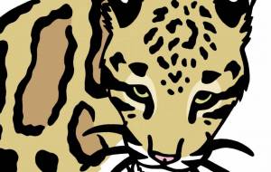 ウンピョウ - シマハイエナ 