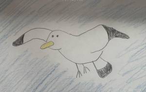 カモメ - セッキー02 