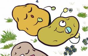 果報は寝て待て - 香織