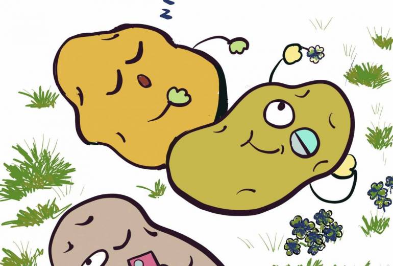 果報は寝て待て