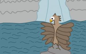 滝で休んでいる鳥 - アクター 