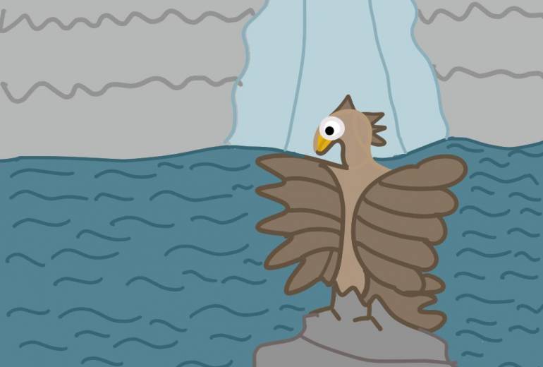 滝で休んでいる鳥