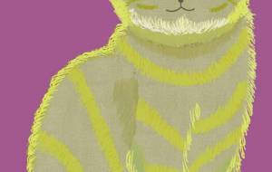 イエローキャットのはずですが、今はグリーンキャットです - ちろ 