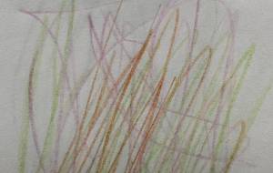 アール・ブリュット挑戦 - 笹谷正博