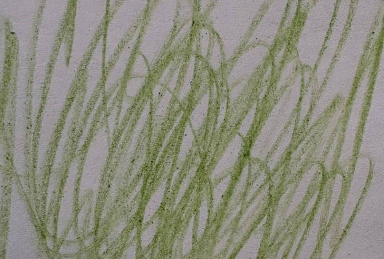 アール・ブリュット挑戦