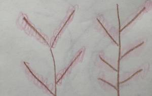 アール・ブリュット挑戦 - 笹谷正博 