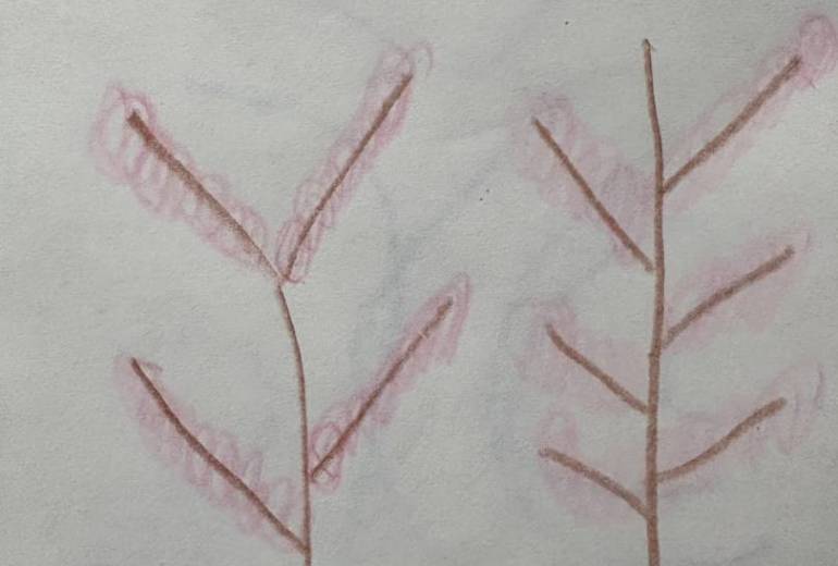 アール・ブリュット挑戦