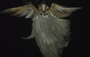 我が名は邪神兜鬼ヤンマゴールド！！ - 真鍋哲地 