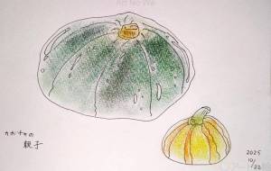 カボチャの親子 - wasabi 