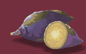 さつまいも - Hagane