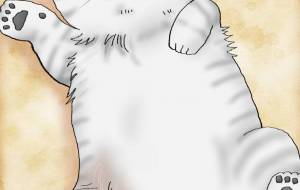 11月のヒスイ2025。 - 羽津美由紀 