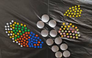 ちょうちょ - りょうま