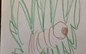 アール・ブリュット挑戦 - 笹谷正博 