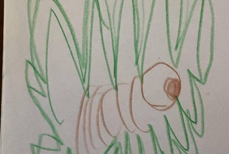 アール・ブリュット挑戦