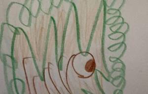 アール・ブリュット挑戦 - 笹谷正博 