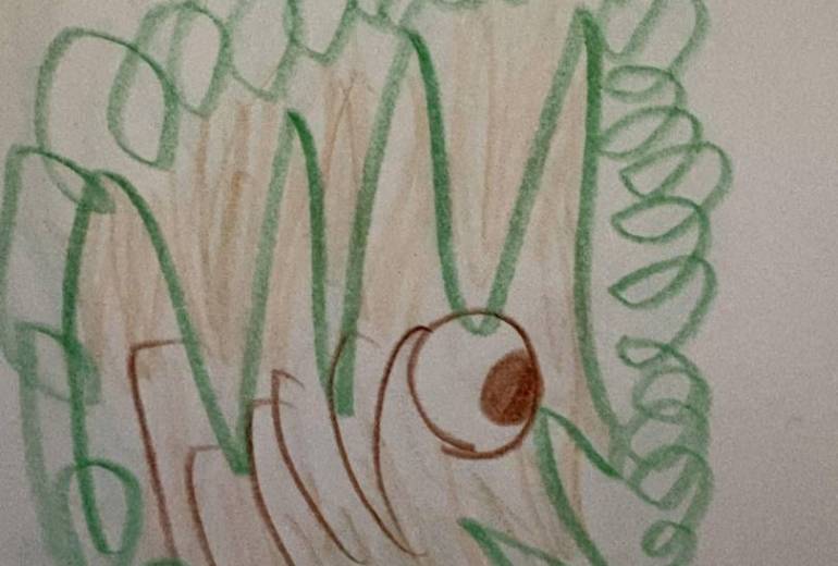 アール・ブリュット挑戦