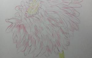 春の風に… - サオリ