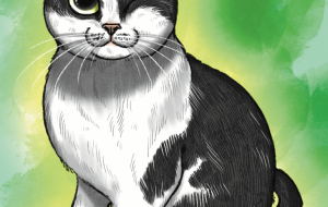 でんすけ - Yukari 