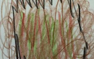 アールブリット挑戦 - 笹谷正博